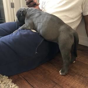 Meet your Posher, Ronald